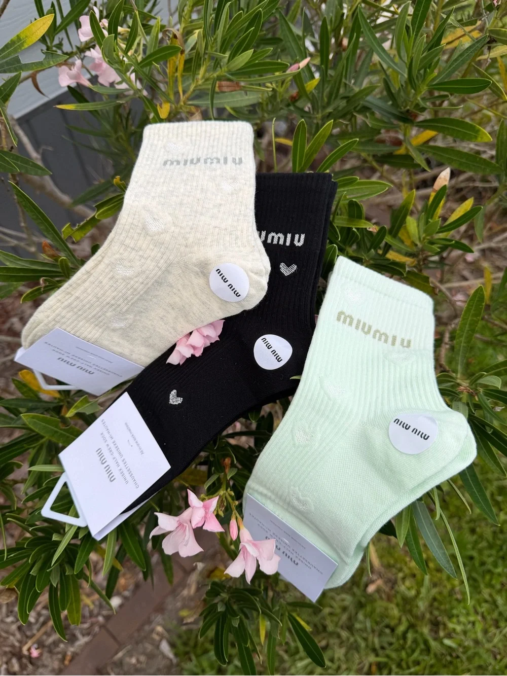 Miu Miu three pack